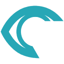 RSIP Vision