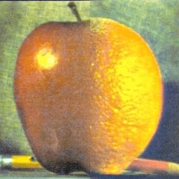 Michael Werman